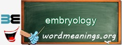 WordMeaning blackboard for embryology